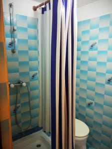 a bathroom with a toilet and a shower with a shower curtain at Vila Umicevic in Bijela