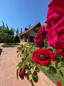 a group of red roses sitting on a brick walkway at Villa Katerina in Nea Kallikrateia