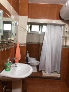 bagno con lavandino e servizi igienici con tenda per la doccia di Dibra's Apartment a Shkodër Altre 24 foto