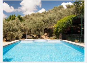 a swimming pool in front of a hill with trees at Huerta Solana in Castril
