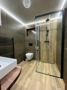 La salle de bains est pourvue d'une douche en verre et de toilettes. dans l'établissement Chata pod Rozsutcom, à Terchová