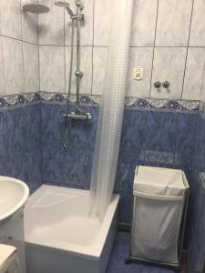a bathroom with a shower with a toilet and a sink at Cały apartament nad jeziorem in Drawno