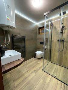 a bathroom with a shower and a sink and a toilet at Chata pod Rozsutcom in Terchová