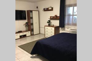 een slaapkamer met een bed, een dressoir en een spiegel bij JAndi apartman in Hévíz