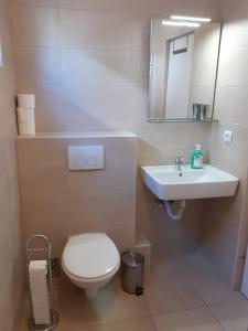 Koupelna v ubytování Apartmani Pavic