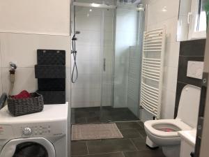 a bathroom with a shower and a washing machine at Ferienwohnung Rheinfelden (Beuggen) in Beuggen
