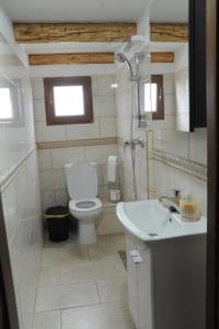 a bathroom with a toilet and a sink at Casa de vacanta - Ograda cu flori in Almaş