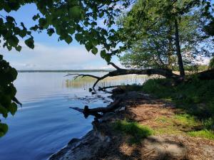 Príroda v okolí apartmánu