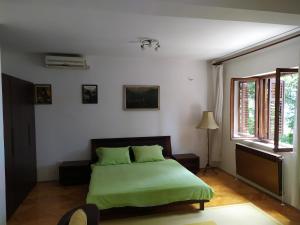 een slaapkamer met een groen bed en een raam bij Vuksanovic Apartment in Herceg-Novi