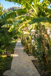a path through a garden with a bunch of banana trees at Hotel Riverside in Dalyan