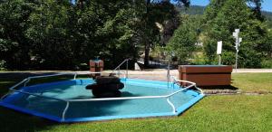 una piscina d'acqua con un orsacchiotto dentro di Ferienwohnung Tannenballett im Schwarzwald a Baiersbronn