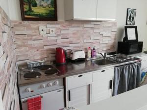 Kuchyňa alebo kuchynka v ubytovaní Apartmány MK u MODRÉ KOČKY