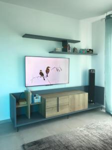een woonkamer met een flatscreen-tv aan een blauwe muur bij T3 BLUE NOTE -4 étoiles- BALARUC-LES-BAINS in Balaruc-les-Bains