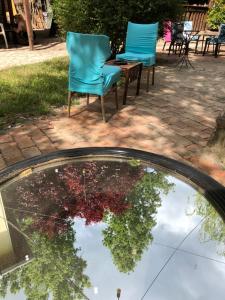 Zahrada ubytování Árkád Apartmanház Szeged