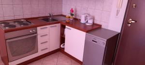 Kuchyňa alebo kuchynka v ubytovaní Apartment Mavarčica