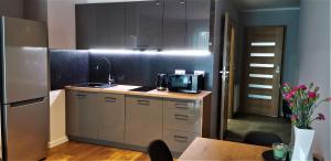 Kuchyň nebo kuchyňský kout v ubytování Apartamenty Green&Blue w Węgorzewie- GREEN