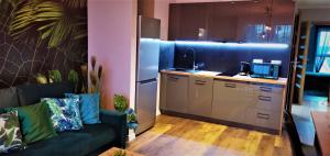 salon z kanapą i kuchnią w obiekcie Apartamenty Green&Blue w Węgorzewie- GREEN w Węgorzewie +17 zdjęć