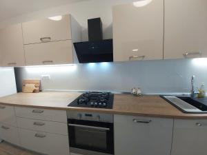 Kuchyň nebo kuchyňský kout v ubytování Green City Point Apartment