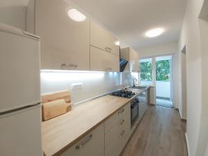 Kuchyň nebo kuchyňský kout v ubytování Green City Point Apartment