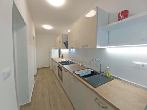 Kuchyň nebo kuchyňský kout v ubytování Green City Point Apartment