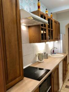  Кухня или мини-кухня в Apartments Provans 