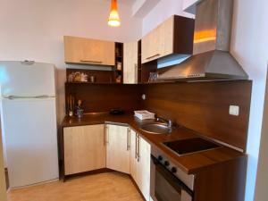 eine kleine Küche mit Spüle und Kühlschrank in der Unterkunft Marina Cape Garden in Aheloy