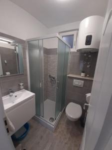 Un baño con ducha, inodoro y lavabo. en Apartments Mate, en Bol 37 fotos más