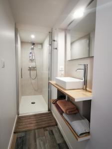 y baño con lavabo y ducha. en Dépendance Cosy dans Maison Bordelaise à 200m du tram et du CHU en Burdeos