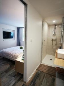 a bathroom with a shower and a bed at Dépendance Cosy dans Maison Bordelaise à 200m du tram et du CHU in Bordeaux