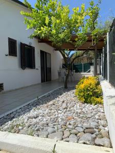 Gallery image of Quirino Residence in Gaeta