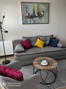 a living room with a gray couch with colorful pillows at VIEW 20 APARTAMENT in Giżycko