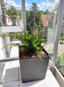 Vonkajšia záhrada v ubytovaní VIEW 20 APARTAMENT