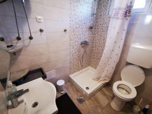 W łazience znajduje się toaleta, prysznic i umywalka. w obiekcie Apartmani Šepčević w mieście Murter