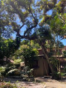 un árbol grande frente a una casa en Casa incrível na beira do rio Caraíva, en Caraíva