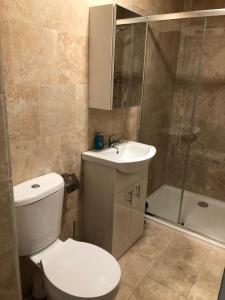 W łazience znajduje się toaleta, umywalka i prysznic. w obiekcie Skellig Port Accomodation - Sea View Rooms Ensuite w mieście Portmagee