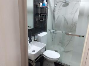 a bathroom with a toilet and a shower and a sink at Apartman Markovic Silver Lake in Veliko Gradište +32 photos