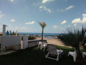 a group of chairs sitting on the grass near the beach at Villa a Diamante Sulla Spiaggia in Belvedere Marittimo