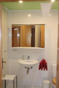 een badkamer met een wastafel, een toilet en een spiegel bij Ferienwohnung Pimer in Ranschbach