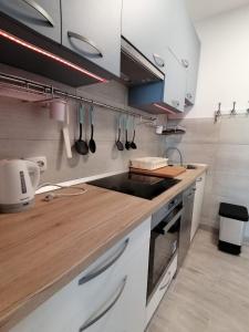 Foto dalla galleria di Apartment Mediteran a Primošten