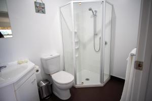a bathroom with a shower and a toilet and a sink at Coromandel Seaview Motel in Coromandel Town