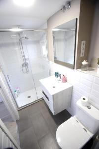 a bathroom with a shower and a toilet and a sink at La casita del Laurel, casa entera, wifi in Logroño