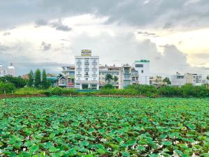 Zahrada ubytování HOTEL ĐĂNG KHOA 1 NÚI SAM