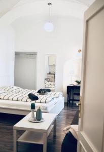 Postel nebo postele na pokoji v ubytování Beautiful Apartment 3 City Center + 12 fotografií