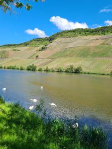 Naturlandschaft in der Nähe des Ferienhauses