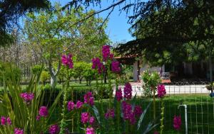 Zahrada ubytování Villa Irene Pisticci-Matera