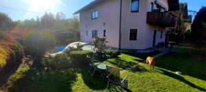 Ogród w obiekcie Pool Apartments