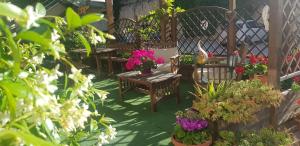 Zahrada ubytování Hotel Lory & Ristorante Ferraro