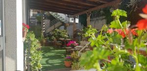 Zahrada ubytování Hotel Lory & Ristorante Ferraro