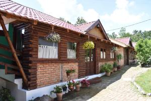 uma casa de madeira com vasos de plantas em frente em Panorama Lomnica em Despotovac