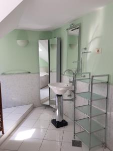 Et badeværelse på Above Ljubljanica River Apartment